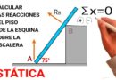 🔴 EJERCICIO de FÍSICA ESTÁTICA APLICANDO la Tercera LEY de NEWTON: Las Fuerzas de Reacción en la Escalera 🪜