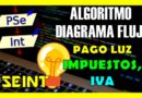 ▷ PSEUDOCODIGO y DFD | ALGORITMO para CALCULAR el COSTO de la FACTURA LUZ con IMPUESTOS IVA 💵